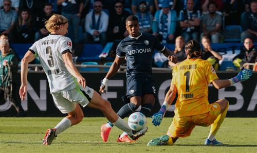 बोचुम वीएफएल वोल्फ्सबर्ग