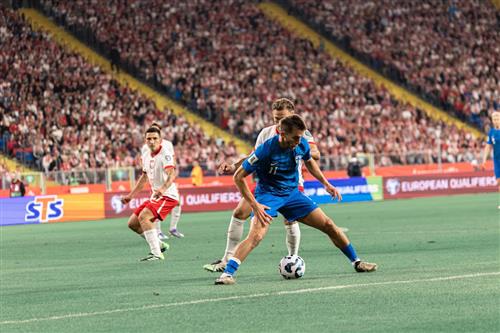 पोलैंड बनाम फ़िनलैंड