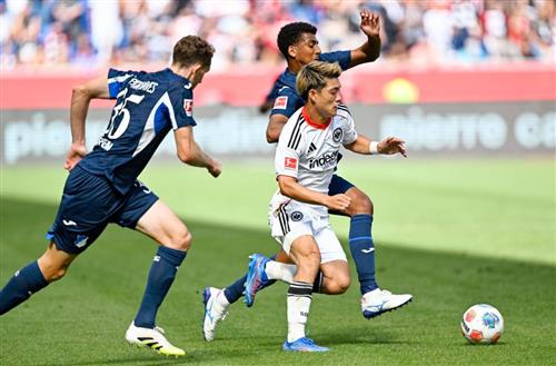 टीएसजी हॉफेनहेम बनाम आइंट्राच्ट फ्रैंकफर्ट