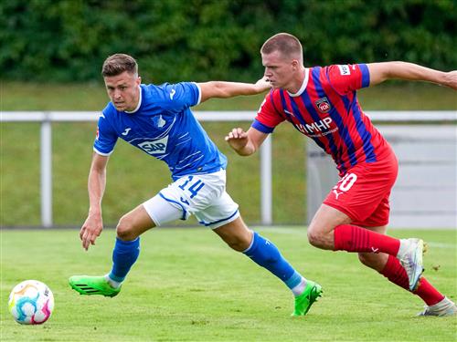 हेडेनहाइमर बनाम टीएसजी हॉफेनहेम