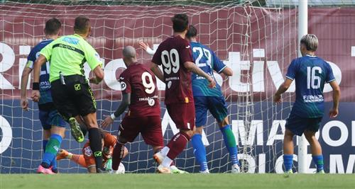 टोरिनो बनाम फ़ेराल्पिज़ारो