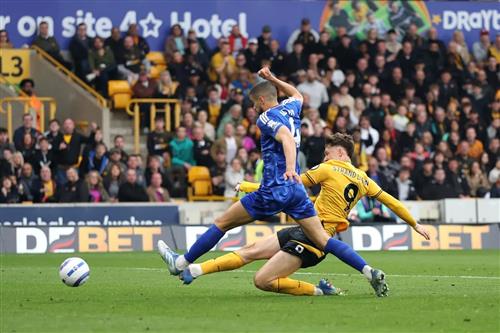 वॉल्व्स बनाम लीसेस्टर सिटी