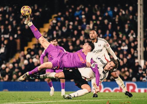 फ़ुलहम बनाम वोल्व्स