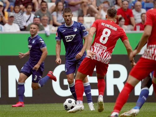 फ्रीबर्ग बनाम हॉफेनहेम