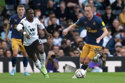 न्यूकैसल यूनाइटेड बनाम फ़ुलहम